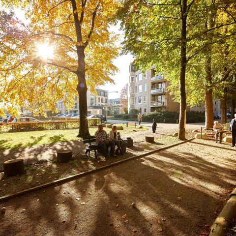  - Wonen met ondersteuning (Wlz) - Park Zuiderhout
